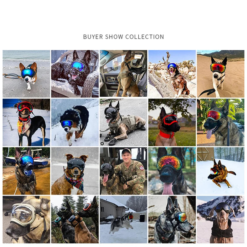 Dog Goggles Sunglasses Anti UV Sun Glasses Eyewear Protection Adjustable Windproof Sunglasses for Pets