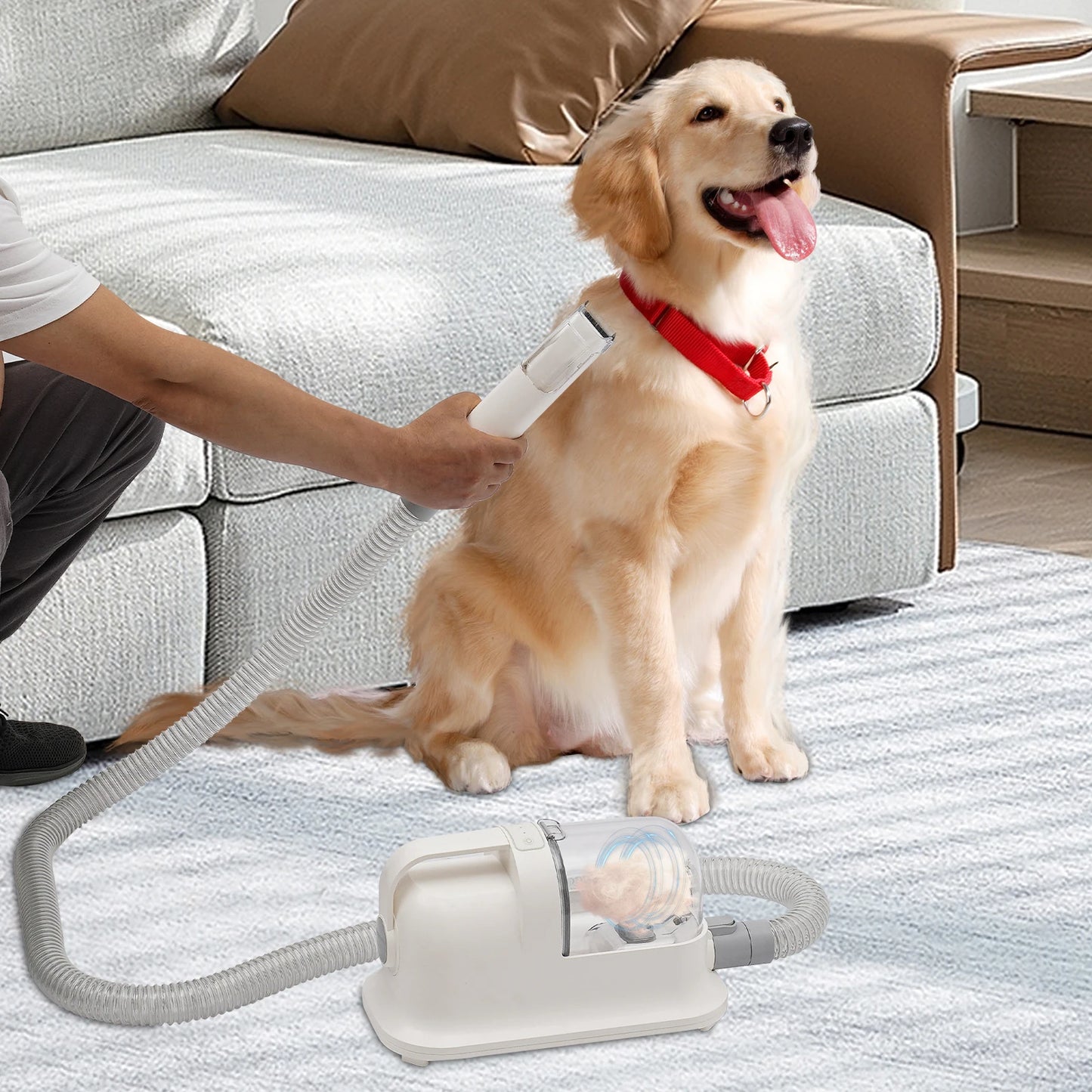 Pet Hair Grooming Tool Set Shaving Combing and 11800Pa Suction Low Noise Hair Trimmer Three in One Pet Hair Grooming Tool