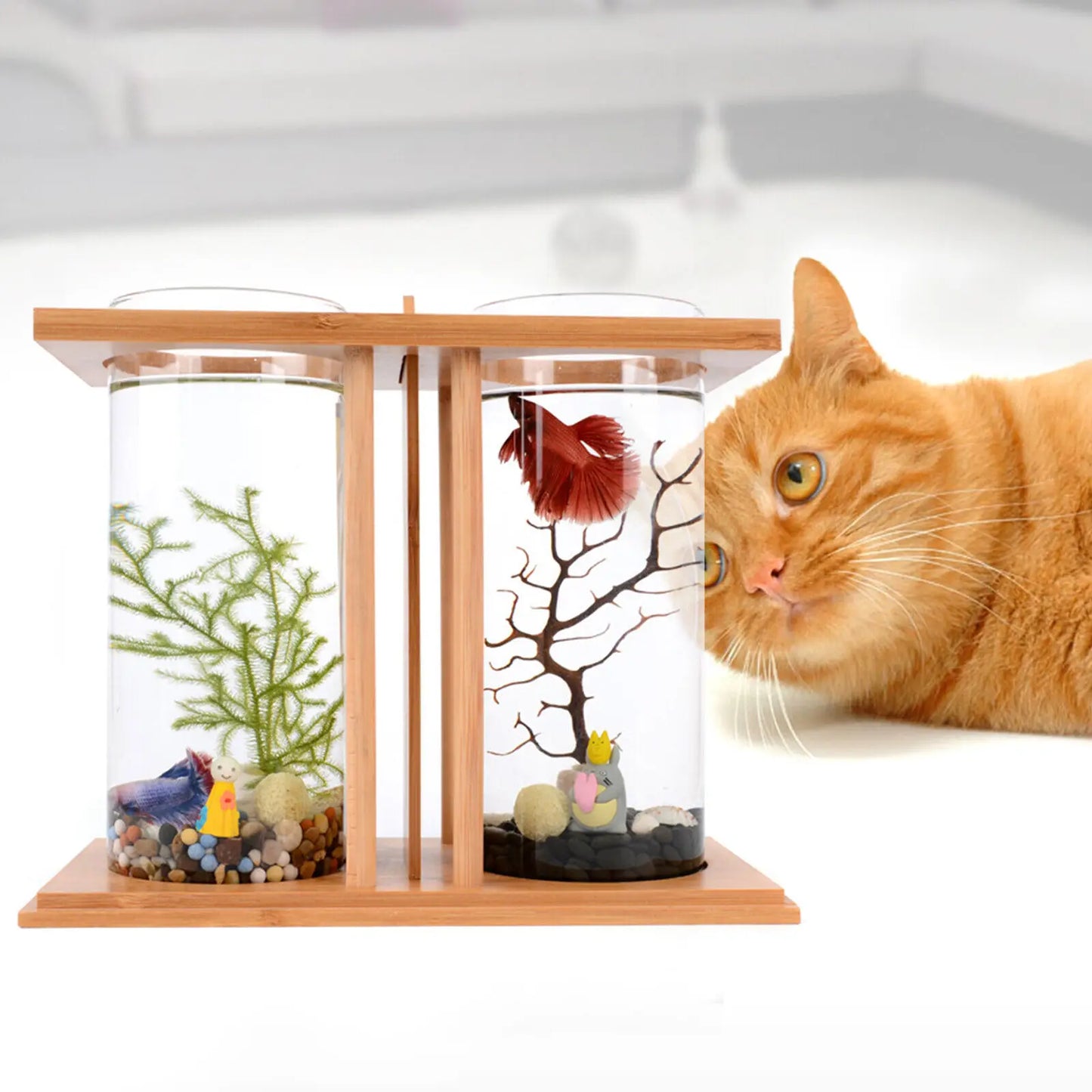 Glass Betta Fish Tank with Bamboo Base Mini Aquarium for Desktop