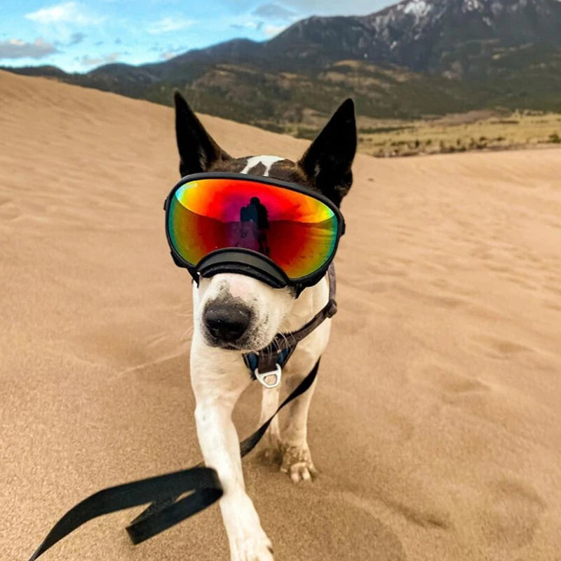 Dog Goggles Sunglasses Anti UV Sun Glasses Eyewear Protection Adjustable Windproof Sunglasses for Pets