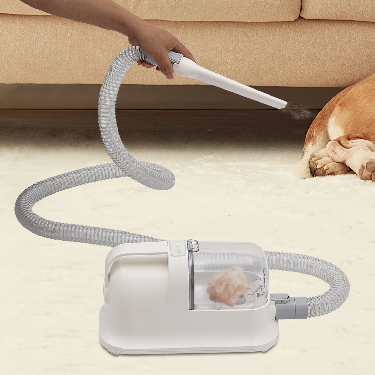 Pet Hair Grooming Tool Set Shaving Combing and 11800Pa Suction Low Noise Hair Trimmer Three in One Pet Hair Grooming Tool