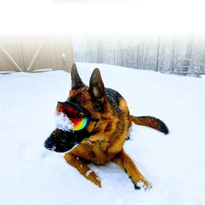Dog Goggles Sunglasses Anti UV Sun Glasses Eyewear Protection Adjustable Windproof Sunglasses for Pets