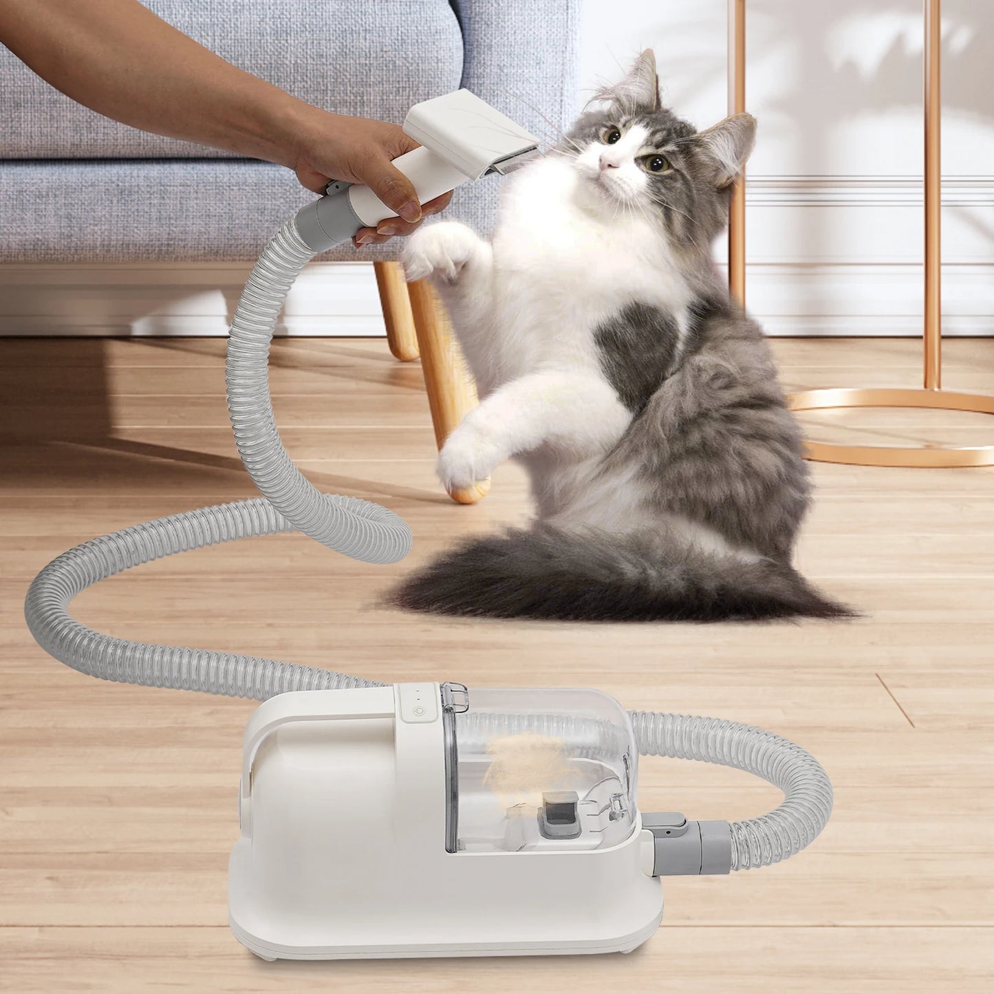 Pet Hair Grooming Tool Set Shaving Combing and 11800Pa Suction Low Noise Hair Trimmer Three in One Pet Hair Grooming Tool