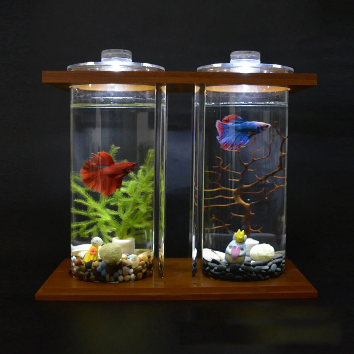 Glass Betta Fish Tank with Bamboo Base Mini Aquarium for Desktop