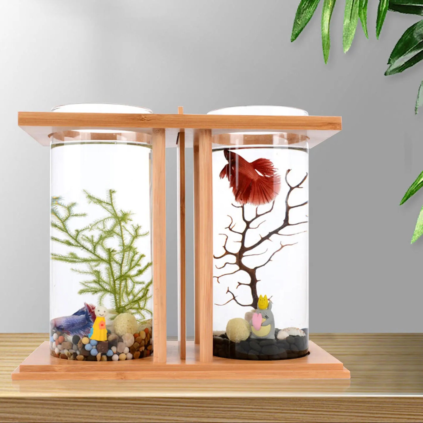 Glass Betta Fish Tank with Bamboo Base Mini Aquarium for Desktop