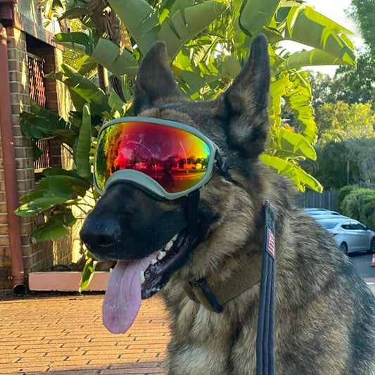 Dog Goggles Sunglasses Anti UV Sun Glasses Eyewear Protection Adjustable Windproof Sunglasses for Pets